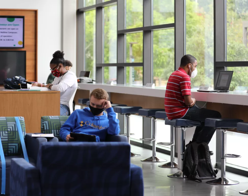 Group of Students Studying