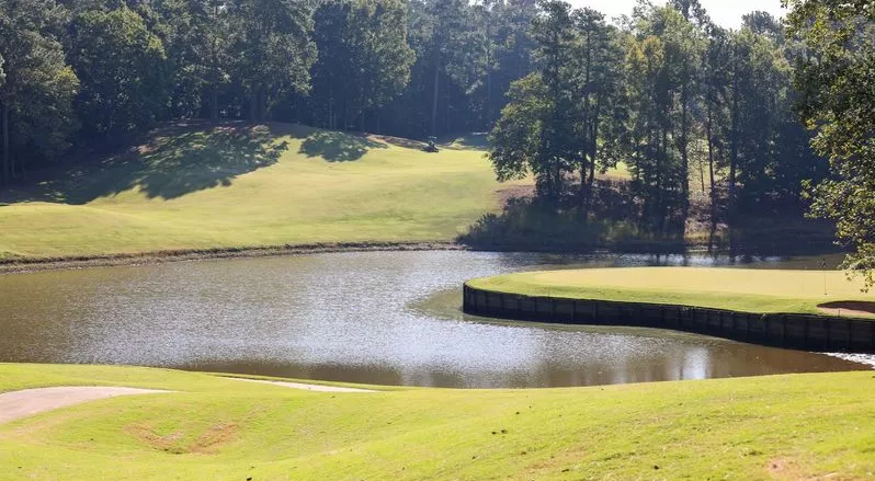 Image of a golf course 